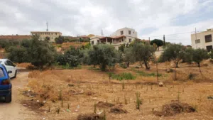Residential Land for Sale in Zarqa Um Rummanah