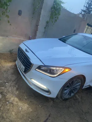 جنسس مديل 2018