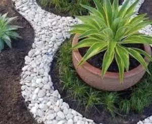 تنسيق وصيانة الحدائق جميع انواع اللاندسكيب نحن نختار معك افضل التصاميم واجود الانواع على قد ميرانينك