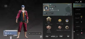 حساب ببجي مستوى 69