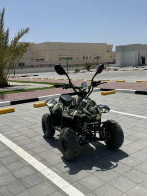 Petrol quad bike