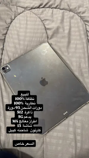 Apple iPad 512 GB in Basra