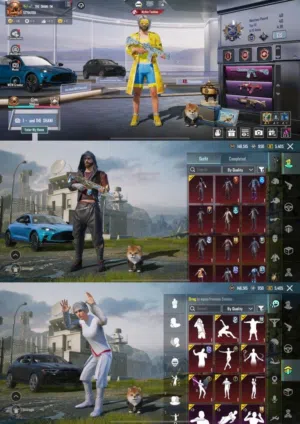 Pubg Accounts and Characters for Sale in Aqaba