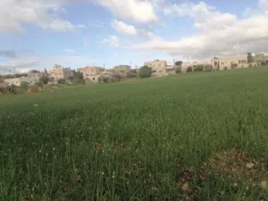 Farm Land for Sale in Irbid Dayr as Si'nah