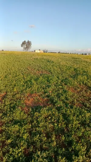 ارض-رزاعية-للبيع