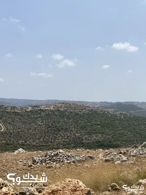 Mixed Use Land for Sale in Salfit Farkha