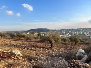 Residential Land for Sale in Jenin Qabatiya
