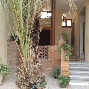 600 متر سيدي خليفة بالقرب من سجل المداني
