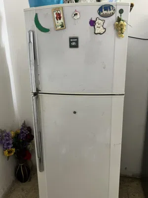 مخيم البقعة