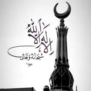 abo muhdi 