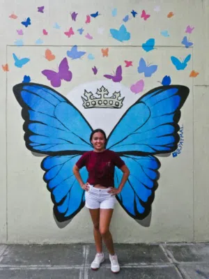 رسام جداريات _ داخلي وخارجي