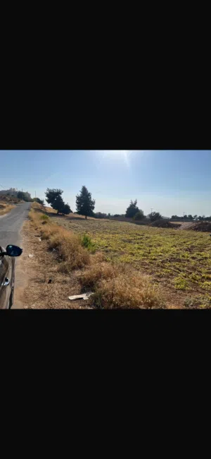 Residential Land for Sale in Amman Naour