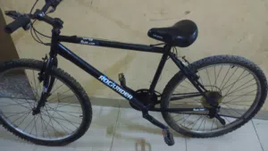 RockRider Mountain Bike