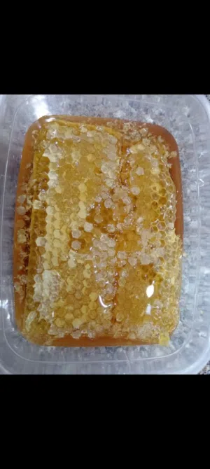 عسل اصلي طبيعي