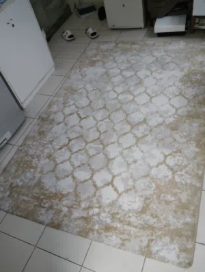 Light beige patterned area rug