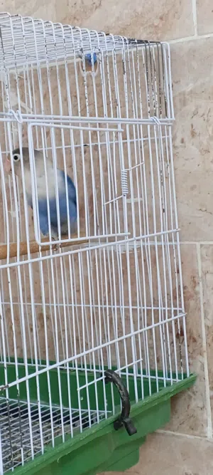 نتايه جاهزة باذن الله
