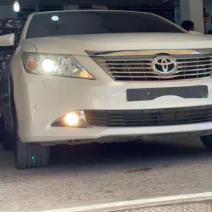 محمد 