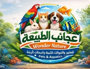 عجائب الطبيعه للطيور 