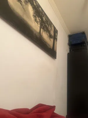 بارتشن تحفة ايجار