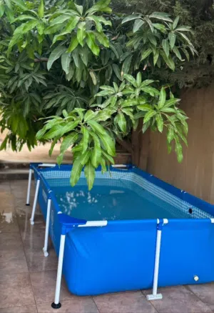 حوض سباحة متتقل