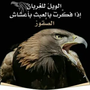فادي  الصقر 