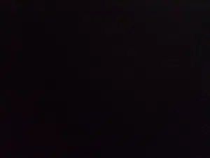 مطلوب ارانب