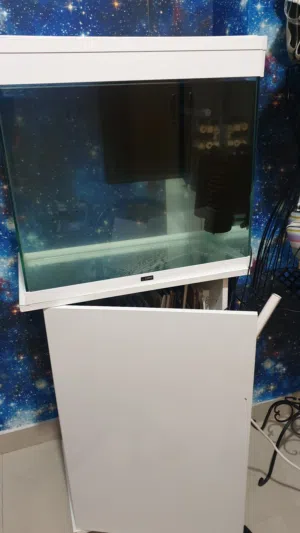تانك سمك زجاجي وبعض المستلزمات. fish glass fish with some accessories