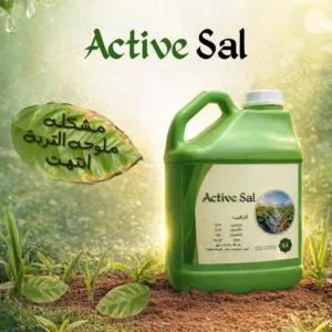 Active Sal