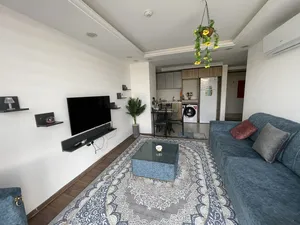50 m2 1 Bedroom Apartments for Rent in Erbil Sarbasti