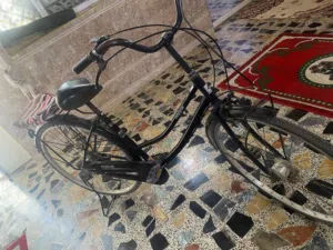 باسكل ياباني