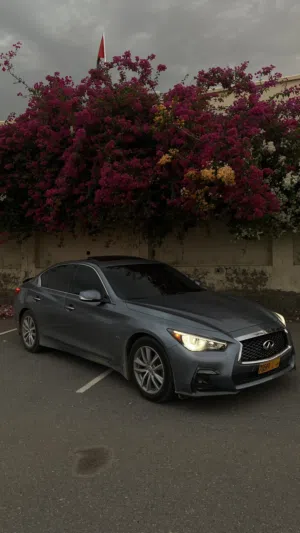 Used Infiniti Q50 in Muscat
