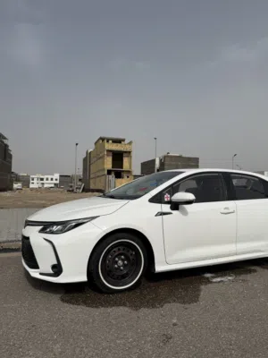 كورله 2025