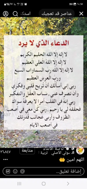 شقه لاجار المنقف عزوبي