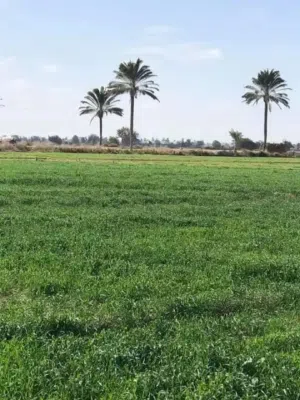 قطعه ارض موقع مميز للبيع