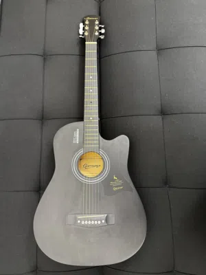 Gievango acoustic guitar