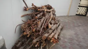 Tree Woods For Sale