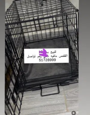 قفص قطط للبيع بي 9 القفص مافيه ولا شي وكان يكفي قطاوتي الاثنين وهذي صورته
