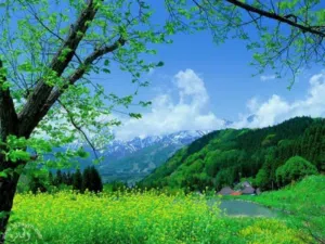 قطعة ارض  على شارعين مساحه 640.م حي الخويبية /// ارض البعباع