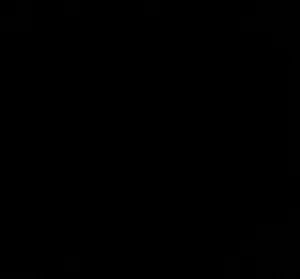 لورد كمال يوسف اسعيد 