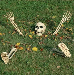 هيكل عظمي مناسب للهالوين حجم كبير وجودة ممتازة