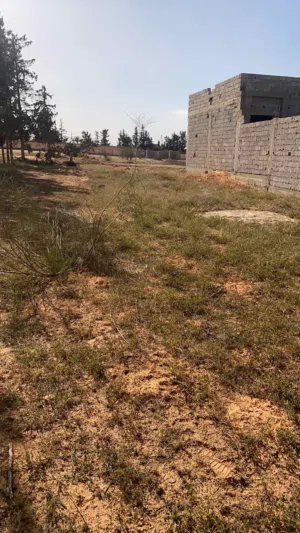 ارض في عين زارة 250مترللبيع
