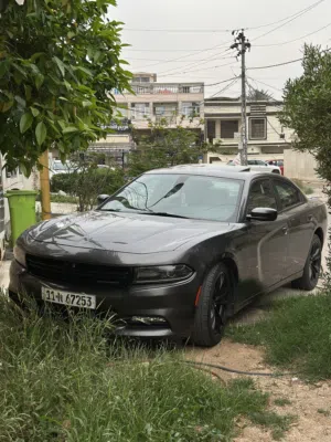 انظف جارجر 2019