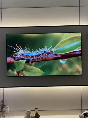 عش تجربة سينمائية مع هايسنس OLED