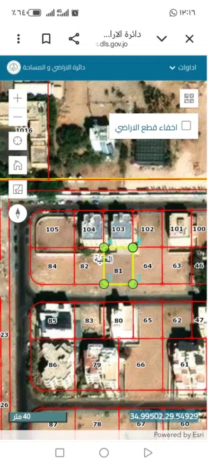 ربع دونم في النخيل للبيع بسعر 80000