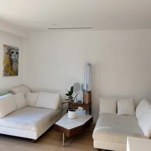 Living Room Sofa