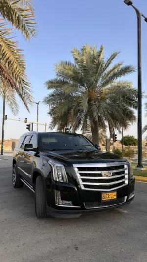 Used Cadillac Escalade in Muscat