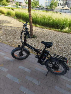CASH ONLY, windhorse w4a, high 70 km range with high speed of 40kmh.