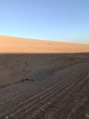 قطعه ارض للبيع