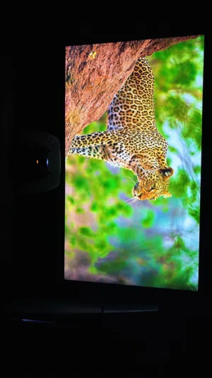 شاشة سامسونج 27inch 75Hz 1920x1080 Full HD شاشة قيمنق استجابه سريعه دقه عاليه وواضحه مافيها اي مشاكل