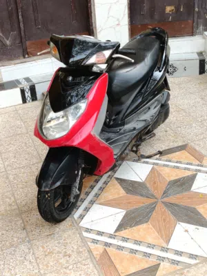 سكنس فحل ياباني